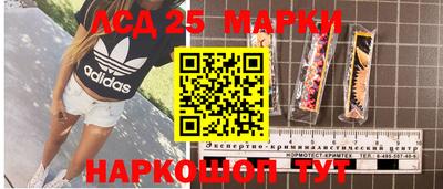 ALPHA PVP Кудрово