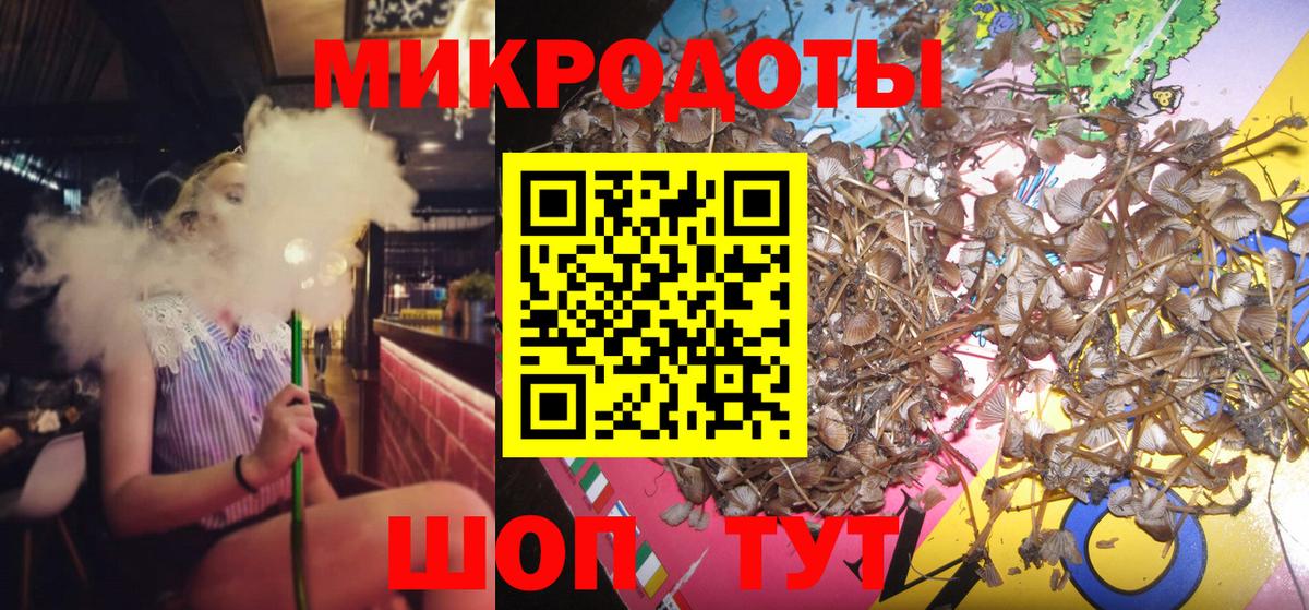 Псилоцибиновые грибы Magic Shrooms  Галлюциногенные грибы Psilocybine cubensis  Славгород  Вход с VPN 
